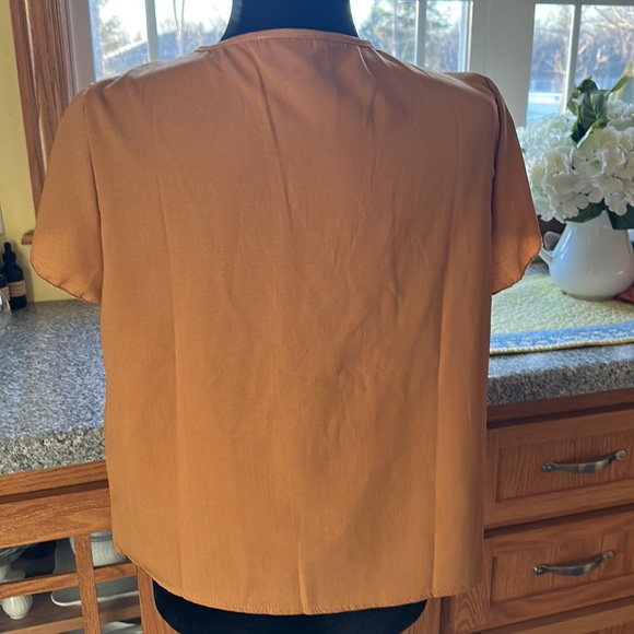 Golden Brown Blouse - Picture 4 of 5